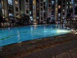 The Sunny Spring (D14), Apartment #452360241